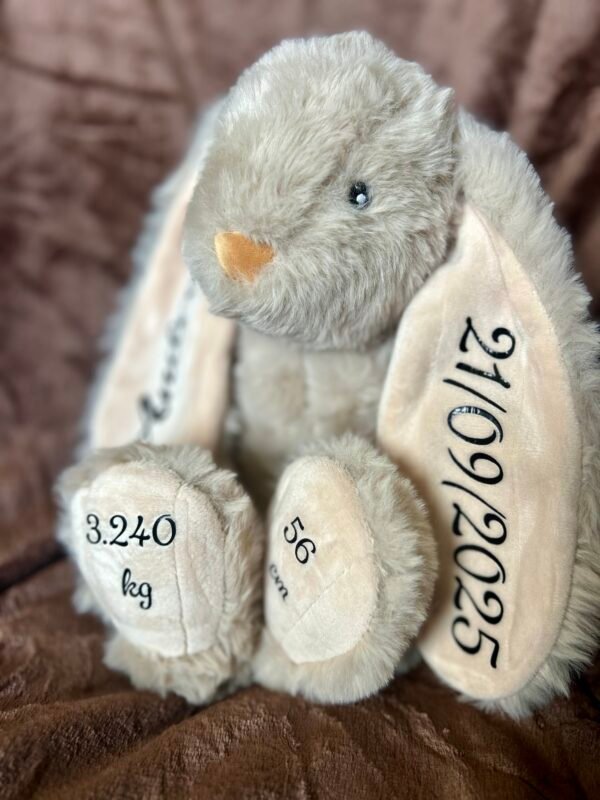 Petit lapin en peluche Personnalisable